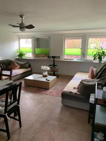Hofesh Apartment Altdorf  Luaran gambar